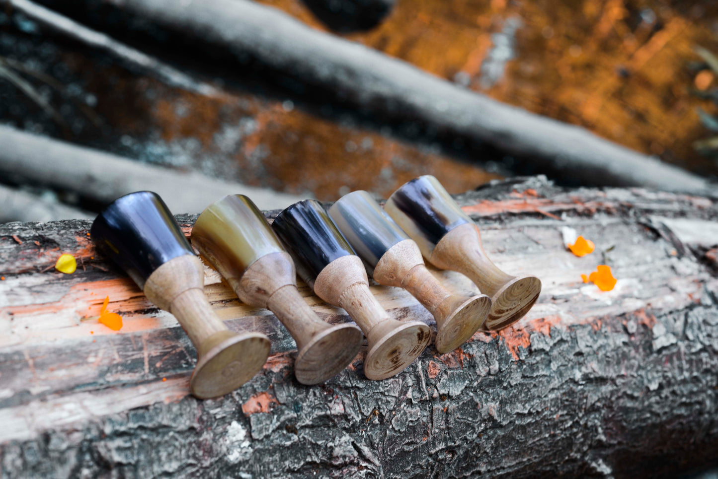 Drinking Horn Mead Shot Glass Cups Set of 6 100% Authentic Ox Horn | Viking | Gift for Him Her Wedding Gift Party Cups